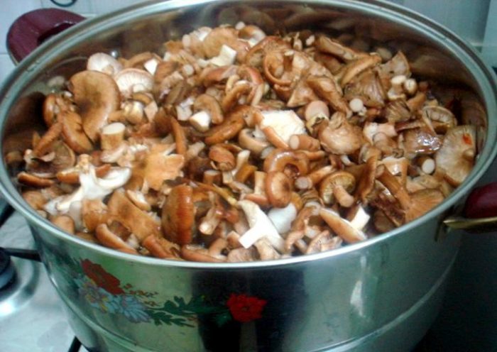 Рецепты замороженных грибов на ужин