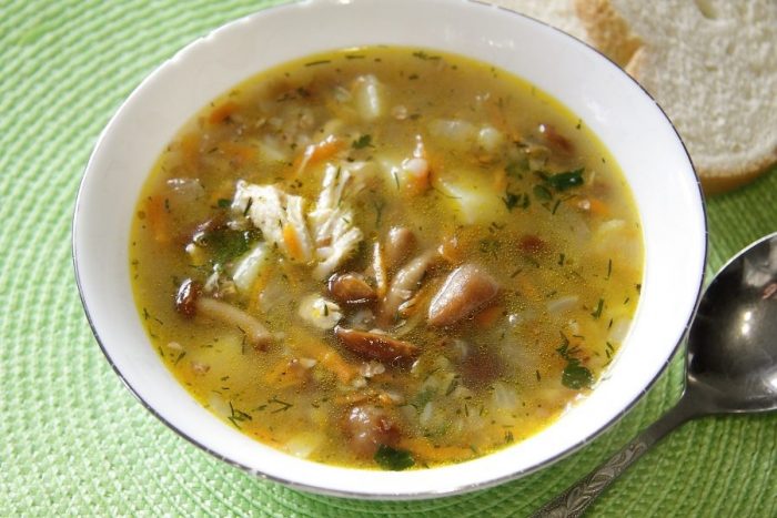 12 лучших рецептов грибного супа с мясным бульоном