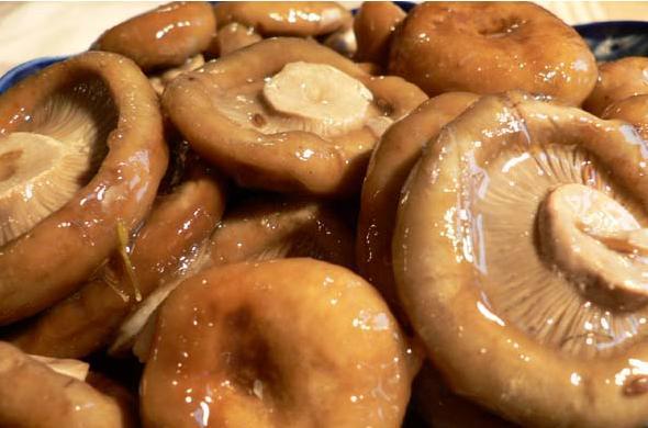 Как приготовить каменные грибы и молочные грибы?
