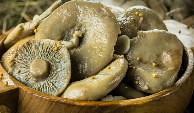 Как мариновать грибы в молоке - простой рецепт с пошаговыми фотографиями