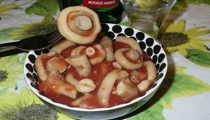 Тушеные грибы в томатном соусе на зиму - пошаговый рецепт с фото