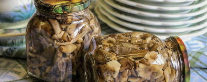 Маринад для грибов — 10 рецептов на 1 л воды с пошаговыми фото