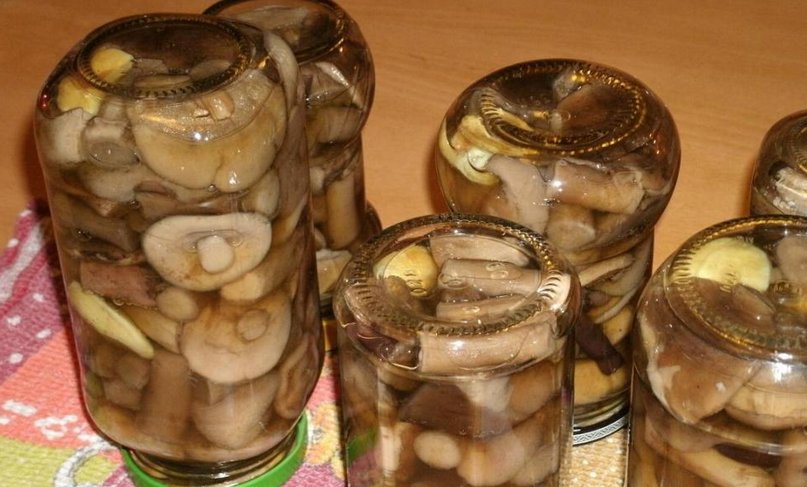 Закатывание грибов на зиму — пошаговый рецепт с фото на Повар.ру