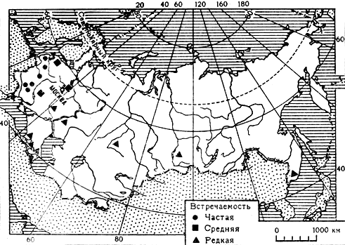 Карта 6. Распространение бледной пятнистости в СССР