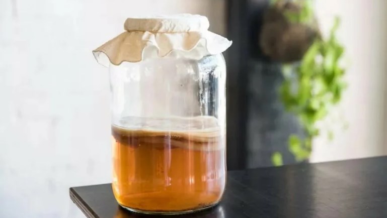 Как вырастить чайный гриб дома - CombuTea