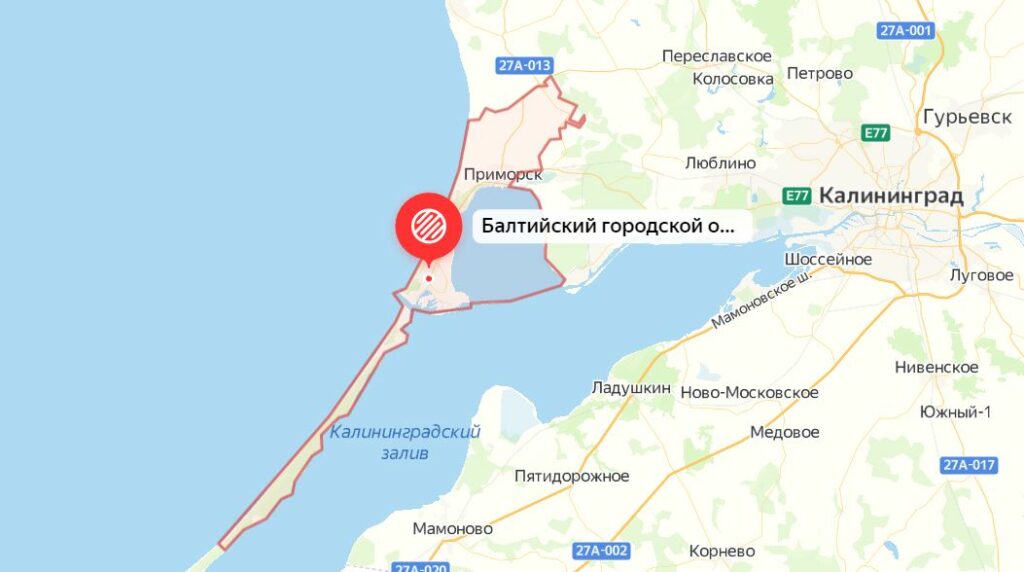 Где собирают грибы в Калининградской области: грибные места, районы, карта