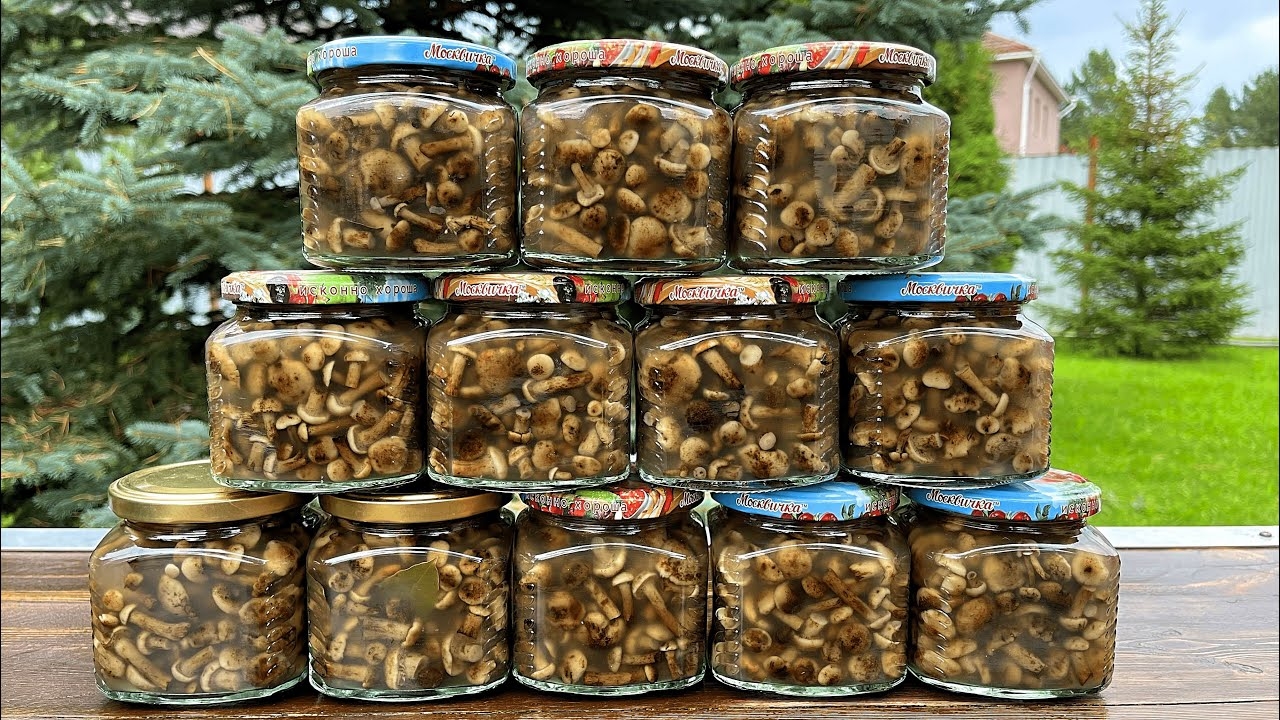 Маринованные грибы - 33 фото