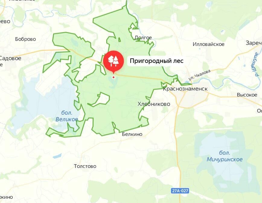 Где собирают грибы в Калининградской области: грибные места, районы, карта