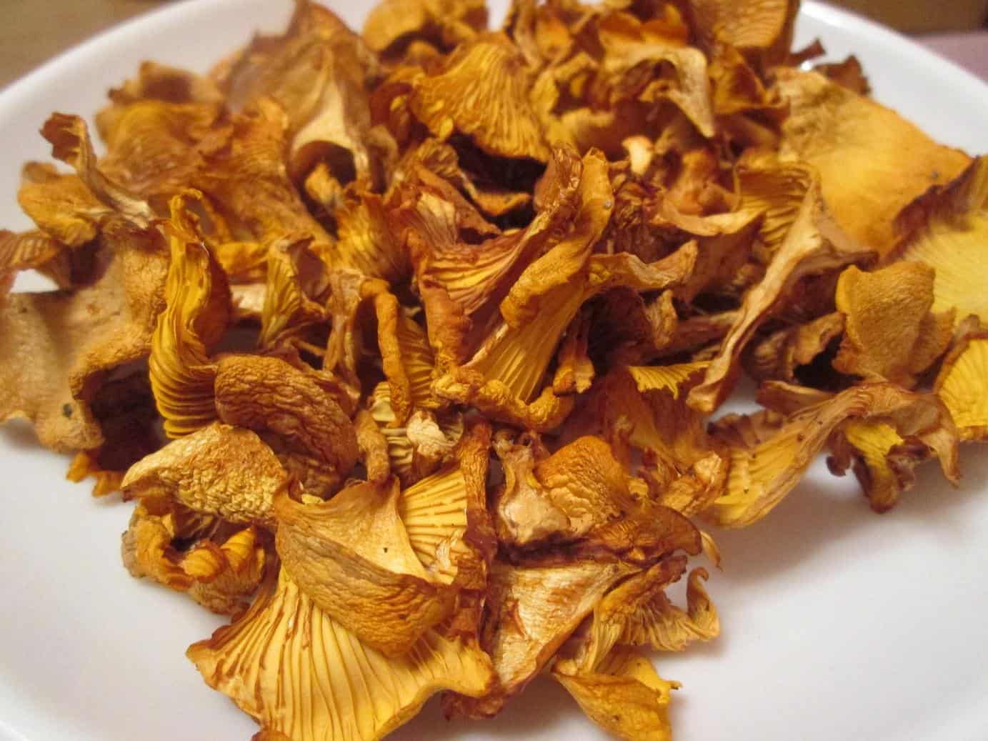 Сушеные грибы лисички — как сушить в домашних условиях, польза, вред