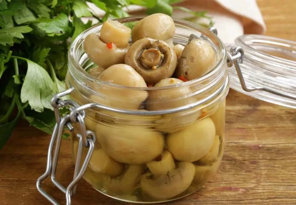 Соленые грибы: пошаговые быстрые рецепты с фото в домашних условиях, видео