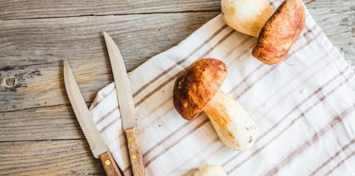Как сушить белые грибы в домашних условиях