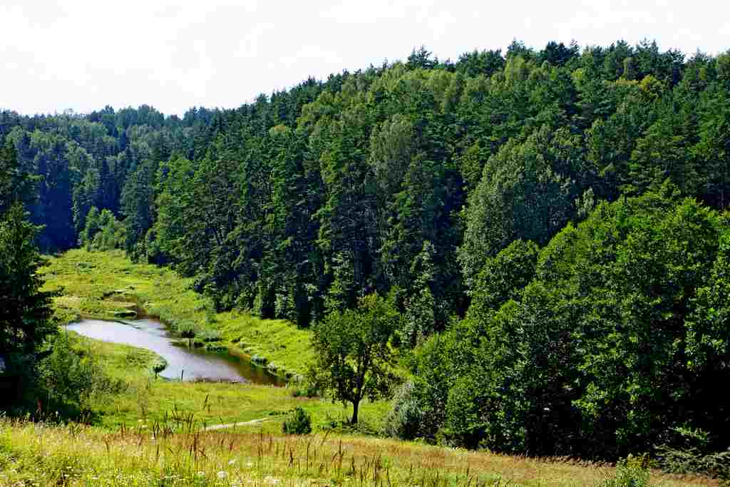 Калининградская область готовит номинацию Виштынецкого парка в ЮНЕСКО