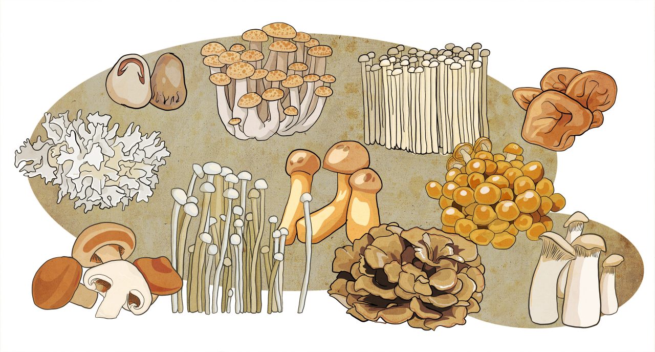 Азиатские грибы — «еда»