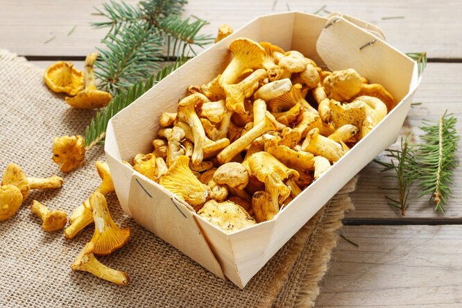 Простой рецепт домашних консервированных грибов лисичек