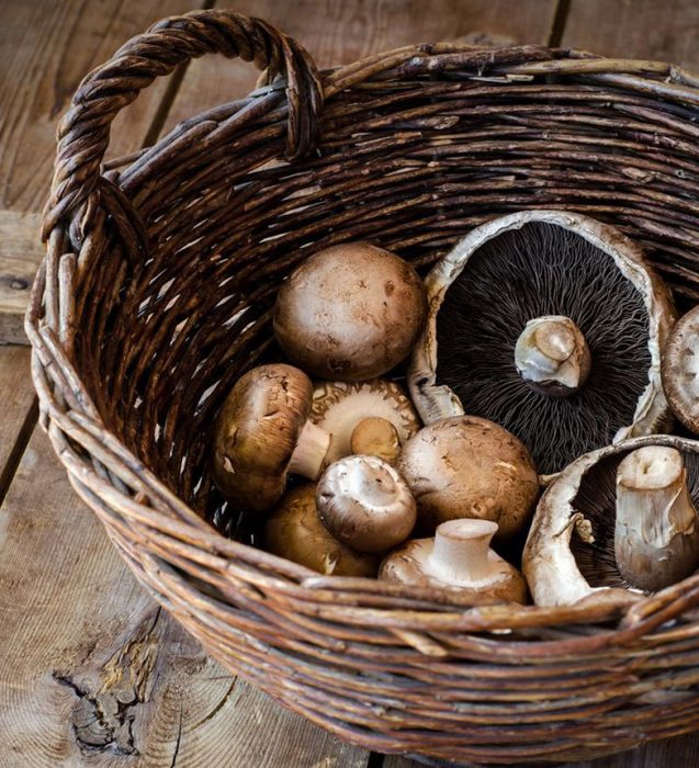 Можно ли белые грибы жарить не отваривая