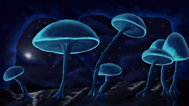Волшебные грибы - 118 фото