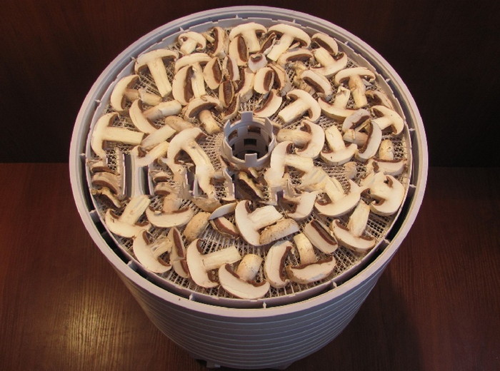 сушить грибы в электросушилке инструкция