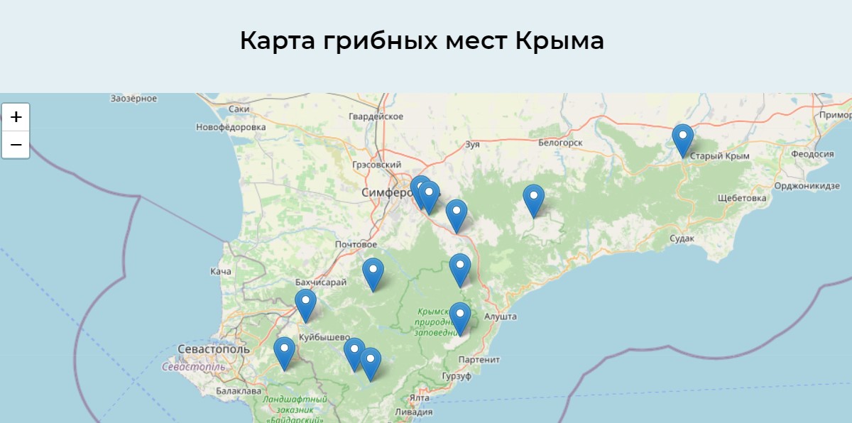 Грибные места Крыма: советы грибникам - ГАУ Республики Крым