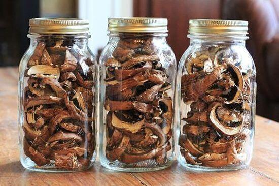 Можно ли сушить польские грибы для хранения и дальнейшего использования в домашней кухне?