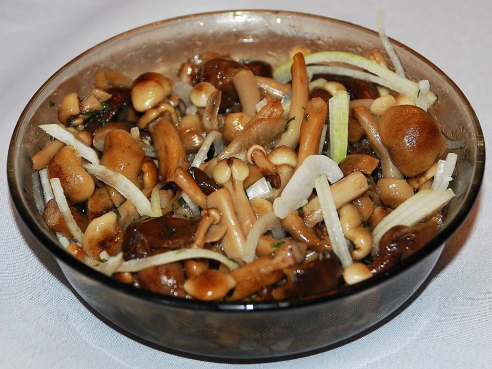 Жареные грибы на зиму - рецепт как приготовить быстро и вкусно | Азбука рецептов