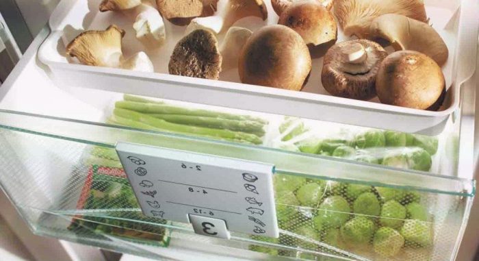 Правильные сроки хранения свежих грибов в холодильнике