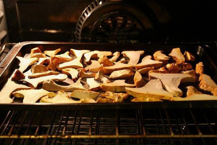 Как правильно сушить грибы в газовой духовке