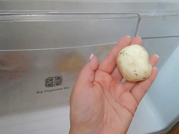 Как хранить свежие шампиньоны в холодильнике