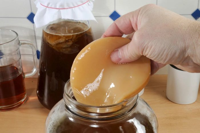 Как промыть чайный гриб в домашних условиях и залить заново