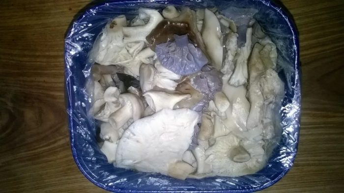 Сколько времени варить рядовки грибы