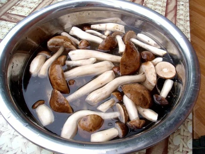 Сколько варятся грибы в супе