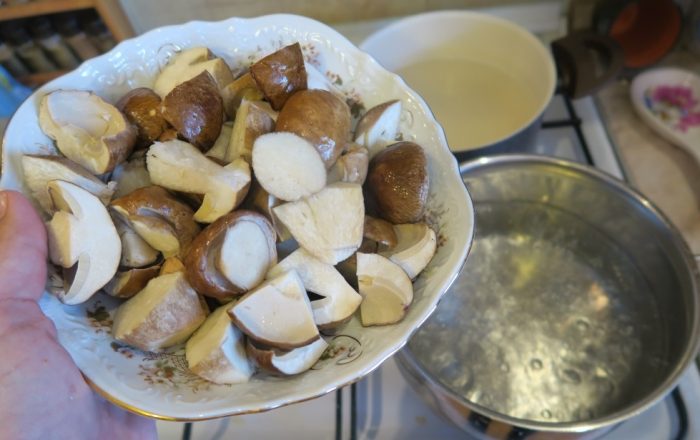 Сколько варятся грибы в супе