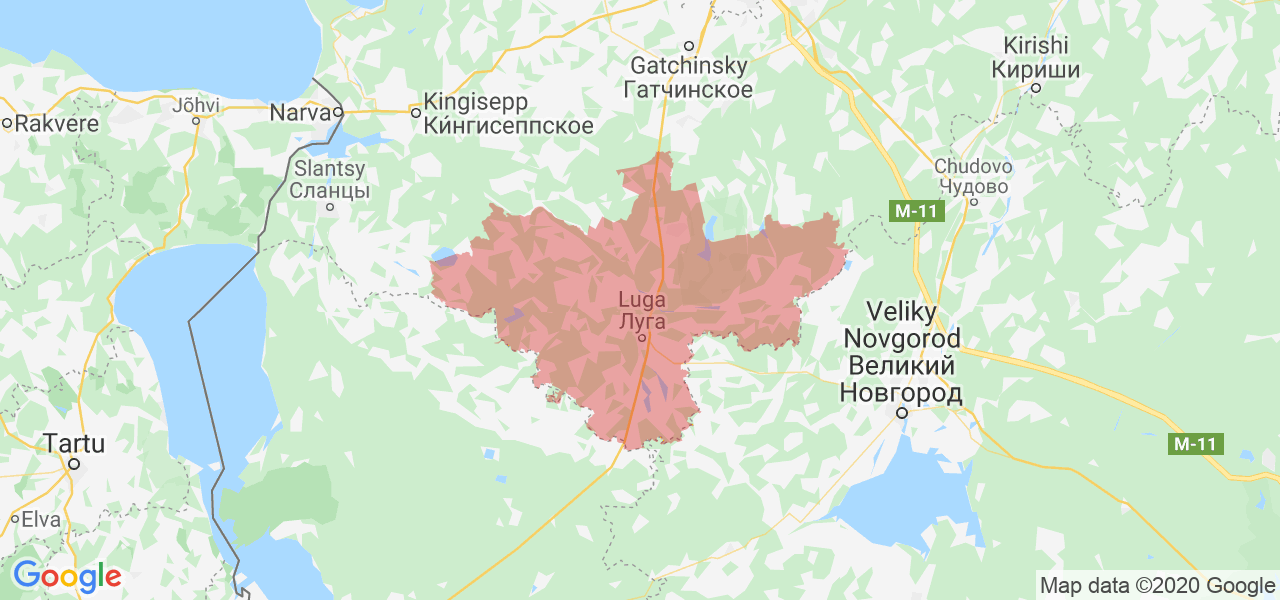 Карта Лужского района Ленинградской области с границами
