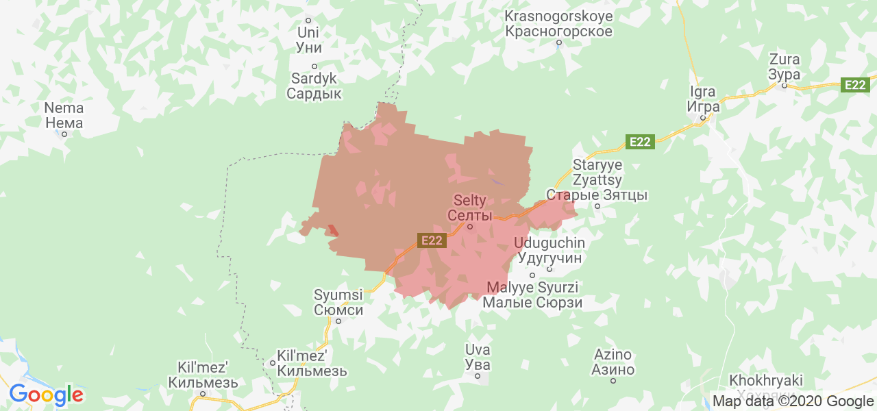 Карта Сельтинского района Удмуртской Республики с границами