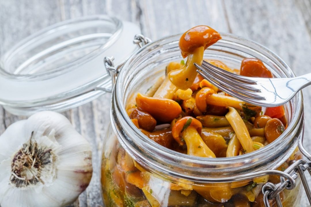 Маринованные грибы - простой и вкусный рецепт, как приготовить пошагово