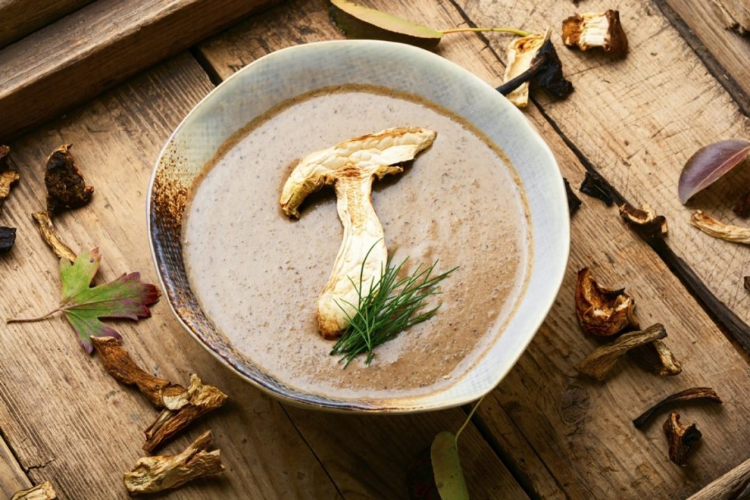 Суп-пюре из сушеных грибов — простой и вкусный рецепт, как приготовить пошагово