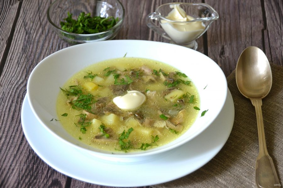 Суп из сыроежки — пошаговый рецепт с фото на Повар.ру