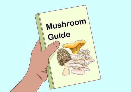 Как определить съедобные и несъедобные грибы