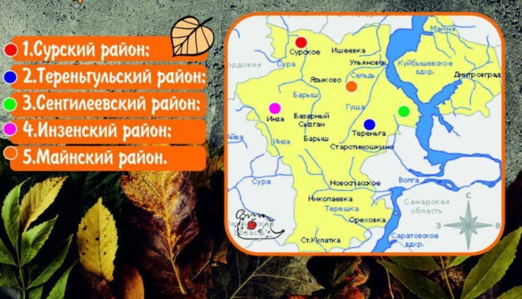 Есть ли грибы в Ульяновской области