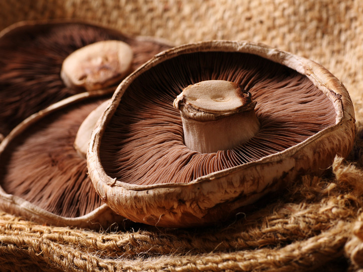 7 самых полезных грибов, которые нужно есть как можно чаще