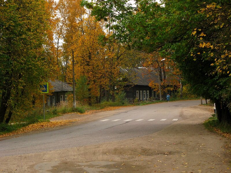Грибные места в Тверской области
