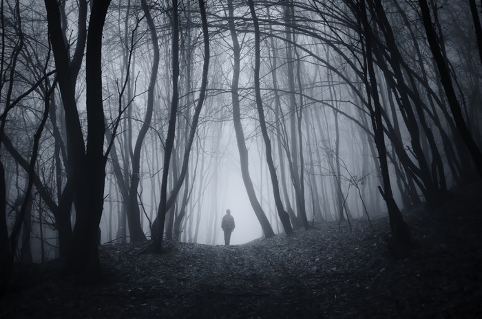 Мужчина в наволочке идет по темной тропинке через жуткий лес — PIXERS.UK