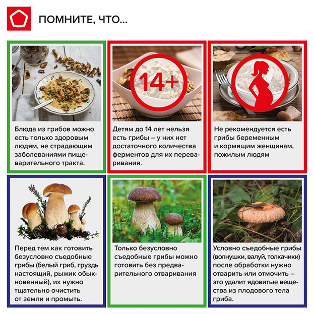 Польза и вред грибов для организма, Как выбрать грибы в магазине. Спортивный обзор